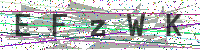 Enter Security Code