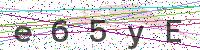 Enter Security Code