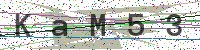 Enter Security Code