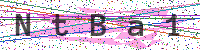 Sicherheitscode eingeben