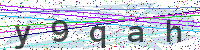 Enter Security Code