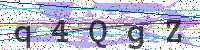Enter Security Code