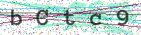 Enter Security Code