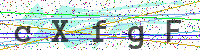Enter Security Code
