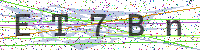 Enter Security Code