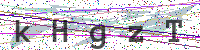 Enter Security Code