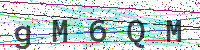 Enter Security Code