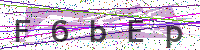 Enter Security Code