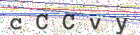 Enter Security Code