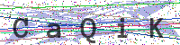 Sicherheitscode eingeben