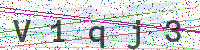 Enter Security Code