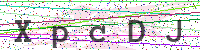 Enter Security Code