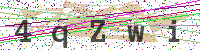 Enter Security Code