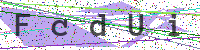Enter Security Code