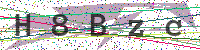 Enter Security Code