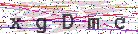 Sicherheitscode eingeben