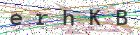 Sicherheitscode eingeben