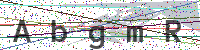 Enter Security Code