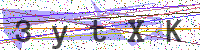 Enter Security Code