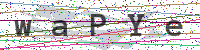 Sicherheitscode eingeben