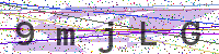 Enter Security Code