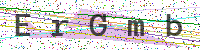Enter Security Code