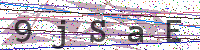 Enter Security Code