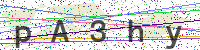Enter Security Code