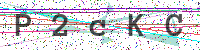 Enter Security Code