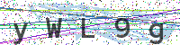 Sicherheitscode eingeben