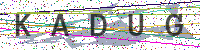 Sicherheitscode eingeben