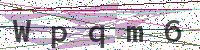 Enter Security Code