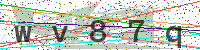 Enter Security Code