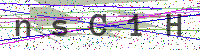 Enter Security Code
