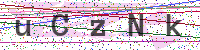 Enter Security Code