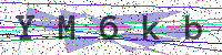Enter Security Code