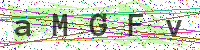 Enter Security Code