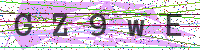 Enter Security Code