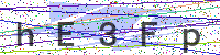Enter Security Code