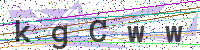 Enter Security Code