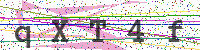 Enter Security Code
