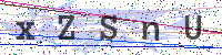 Enter Security Code
