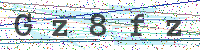 Enter Security Code