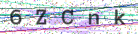 Enter Security Code