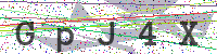 Enter Security Code