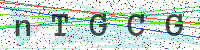 Sicherheitscode eingeben