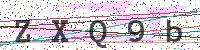 Enter Security Code