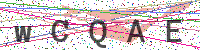 Enter Security Code