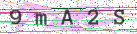Enter Security Code