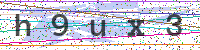 Enter Security Code